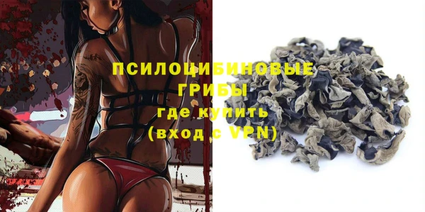 спиды Алексеевка