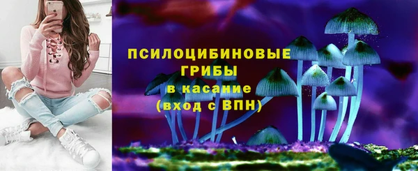 спиды Алексеевка